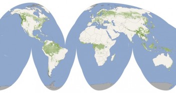 Pierwsza globalna mapa wysokości drzewostanu (Credits: NASA - Public Domain)