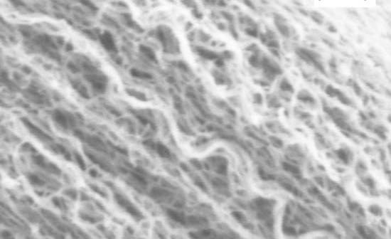Powłoka wykonana z nowego materiału widoczna w powiększeniu (NASA)