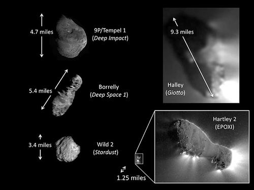 Porównanie wielkości komet zarejestrowanych przez różne sondy kosmiczne (NASA/JPL-Caltech/UMD)