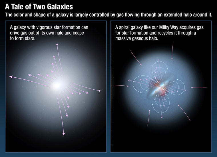 Schemat „recyklingu” galaktycznego. Promieniowanie docierające do nas od odległych kwazarów ulega modyfikacji, gdy przelatuje przez halo galaktyczne  /  Credit – NASA; ESA; A. Feild, STScI