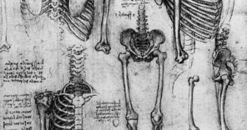 Przy współpracy naukowców z astronautami powstają nieinwazyjne testy pozwalające wykryć i śledzić przebieg osteoporozy i nowotworów kości.