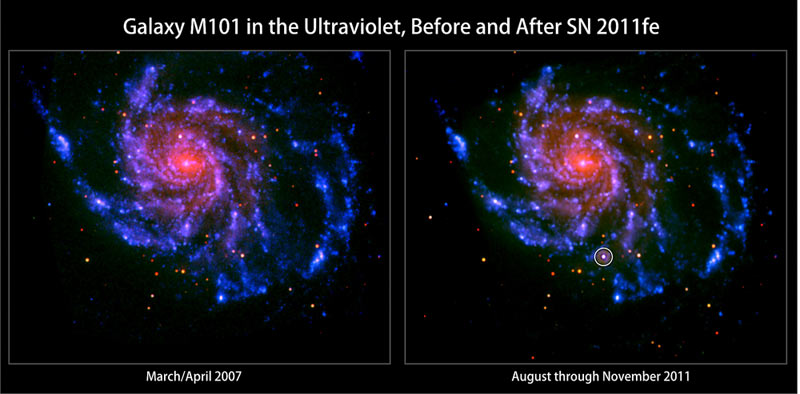 Eksplozja supernowej w Galaktyce Wiatraczek  /  Credit - NASA/Swift/Peter Brown, Univ. of Utah