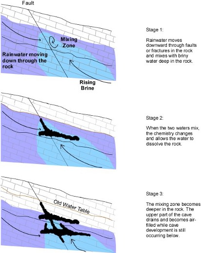 Ilustracja przedstawia poszczególne fazy tworzenia się jaskini hypogenicznej. Na początku, woda deszczowa przesączająca się przez warstwę skał miesza się z warstwą słonej wody uwięzionej w głęboko pod powierzchnią. Kolejnym krokiem są reakcje chemiczne zachodzące pod wpływem mieszania się dwóch różnych wód. Powodują one erozję otaczającej skały. Poziom wody słonej obniża się, a jaskinia drążona jest cały czas głębiej. Przy sprzyjających okolicznościach, możliwe jest zupełne odcięcie takiej jaskini od świata zewnętrznego, tak jak w przypadku jaskini Lechuguilla. Wtedy nie tworzy się do niej dojście na skutek erozji wyższych warstw skały (położonych nad jaskinią). (Credits: cave-exploring.com)
