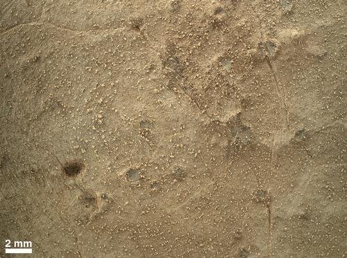 Zbliżenie na oczyszczony obszar skały Ekwir_1 / Credits - NASA/JPL-Caltech/MSSS 