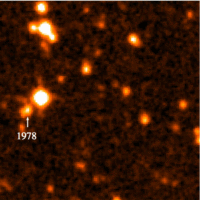 Ruch WISE 1049-5319 od 1978 roku / Credits -  NASA/STScI/JPL/IPAC/University of Massachusetts