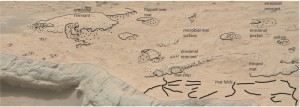 Na fragmencie zdjęcia naszkicowane są potencjalne skamieniałe maty mikroorganizmów, struktury, które mogły powstać w wilgotnym środowisku przy udziale żywych stworzeń. (Image credit: Noffke (2015). Courtesy of ASTROBIOLOGY, published by Mary Ann Liebert, Inc.)