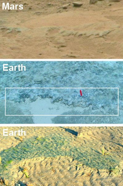 Potencjalne pozostałości po MISS - erozji wywołanej przez ekosystemy mikroorganizmów (u góry); krawędź maty mikroorganizmów Portsmouth Island, USA (środek); zerodowana powierzchnia pod wpływem działalności mikroorganizmów z naszych czasów Mellum, Niemcy (dół). Image credit for Mars: NASA; Earth: Nora Noffke