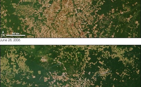 Zestawienie zdjęć instrumentu MODIS satelity Terra przedstawia las tropikalny w rejonie Mato Grosso w Brazylii. Dolne zdjęcie to dane z 2002 roku, górne - z 2006 roku. Część ubytków leśnych i przekształcenie terenów na pola uprawne to zamierzone działania państwa, a część związana jest z nielegalną wycinką. Władze Brazylii wykorzystują zdjęcia satelitarne tego typu do kontrolowania i przeciwdziałania tego typu akcjom. (Image Credits: NASA, MODIS Rapid Response Team).