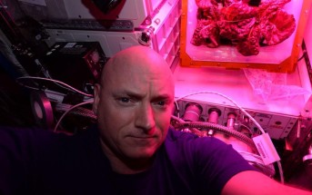 Scott Kelly i kosmiczna sałata. Zdjęcie z 9 sierpnia 2015 / Credits - NASA