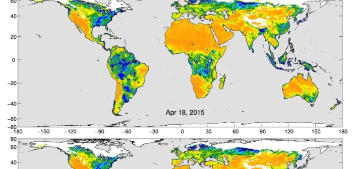 Część danych zebranych przez satelitę SMAP w kwietniu 2015. Żółte obszary wskazują na suchą wierzchnią warstwę gleby a niebieskie na wilgotną. Źródło: NASA/JPL-Caltech/GSFC
