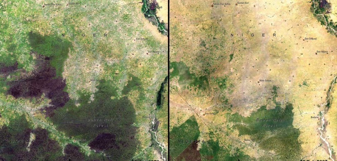 Zobrazowanie wylesiania Nigru w latach 1976-2007, obejmujące las Beban Rafi, spowodowane rosnącą presją ze strony człowieka, którego populacja w tym regionie zwiększyła się 4-krotnie / Credit: NASA, UNEP