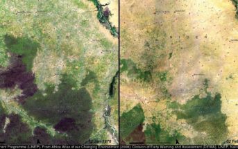 Zobrazowanie wylesiania Nigru w latach 1976-2007, obejmujące las Beban Rafi, spowodowane rosnącą presją ze strony człowieka, którego populacja w tym regionie zwiększyła się 4-krotnie / Credit: NASA, UNEP