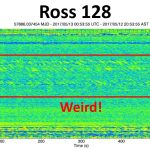 "Weird Signal" Ross 128 / Credits - PHL @ UPR Arecibo