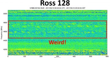 "Weird Signal" Ross 128 / Credits - PHL @ UPR Arecibo