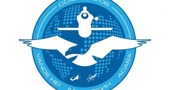 Logo misji Sojuz MS-06 / Credits - Roskosmos