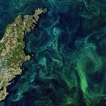 Sinice wokół Gotlandii - 20 lipca 2019 / Credits - Copernicus Sentinel data (2019), ESA