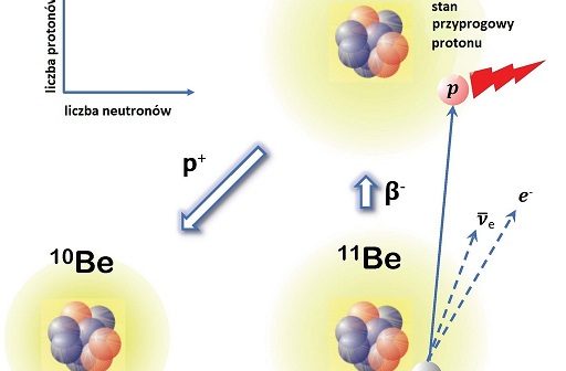 Emisja protonu opóźniona rozpadem ß– w 11Be. Stan podstawowy 11Be z halo neutronowym ulega rozpadowi beta do stanu wzbudzonego 10B, który znajduje się tuż powyżej progu rozpadu protonu. Stan ten następnie rozpada się do stanu 10Be poprzez emisję protonu. (Źródło: IFJ PAN)