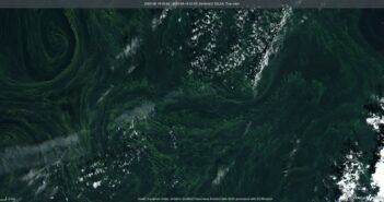 Zakwit sinic na Bałtyku - 18 sierpnia 2020 / Credits - UE, Copernicus, Sentinel Hub