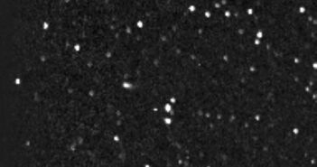 Kometa SOHO 4063 / Credits - NASA