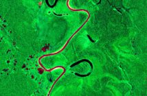 Wycinek Puszczy Amazońskiej z rzeką Tarauaca (Sentinel-2, obraz w podczerwieni) / Credits - Copernicus Sentinel data, Komisja Europejska, ESA
