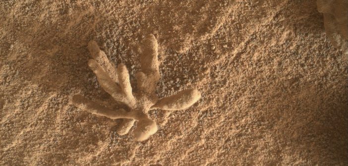 Nietypowa skała namierzona przez łazik Curiosity / Credits - NASA/JPL-Caltech/Malin Space Science Systems