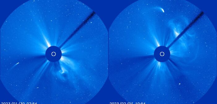 Spojrzenie na kometę 96P/Machholz z sondy SOHO - styczeń/ luty 2023 / Credits - NASA, ESA, SOHO