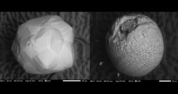 Przykłady mikrometeorytów - obrazy z mikroskopu elektronowego / Credits - Fundacja Nauka To Lubię