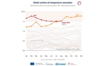 Miesięczne globalne anomalie temperatury powietrza na powierzchni (°C) w odniesieniu do lat 1850–1900 od stycznia 1940 r. do sierpnia 2024 r., wykreślone jako szeregi czasowe dla każdego roku. Rok 2024 zaznaczony jest grubą czerwoną linią, rok 2023 grubą pomarańczową linią, a wszystkie pozostałe lata cienkimi szarymi liniami. Źródło danych: ERA5. ikona Zweryfikowane przez społeczność / Credits - Copernicus Climate Change Service /ECMWF