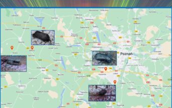 Szczątki górnego stopnia Falcona 9, które znaleziono w Polsce / Credits - POLSA