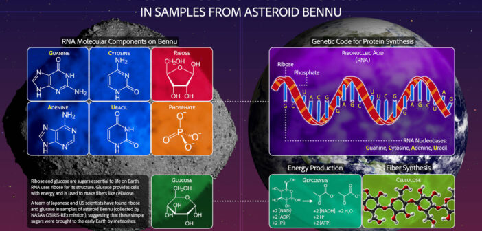 Związki organiczne na planetoidzie Bennu / Credits - NASA