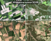 Polska w obliczu wiosennej suszy: jak satelity ujawniają skalę problemu dla rolnictwa?
