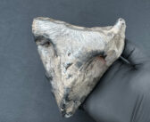 Spadek i znalezienie meteorytu żelaznego w Polsce