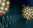 Artystyczna wizualizacja emisji promieniowania gamma przez rezonanse pigmejskie skóry neutronowej wzbudzonych jąder atomowych powstałych w rozszczepieniu kiuru. (Źródło: IFJ PAN)