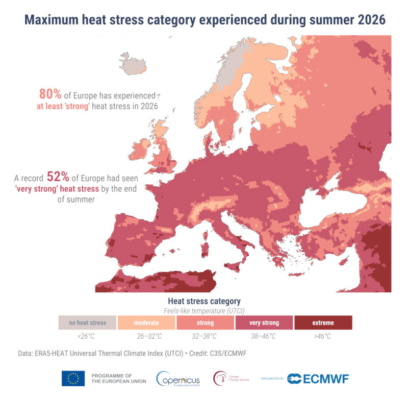 Copernicus: lato w Europie rekordowe pod względem upałów i suszy